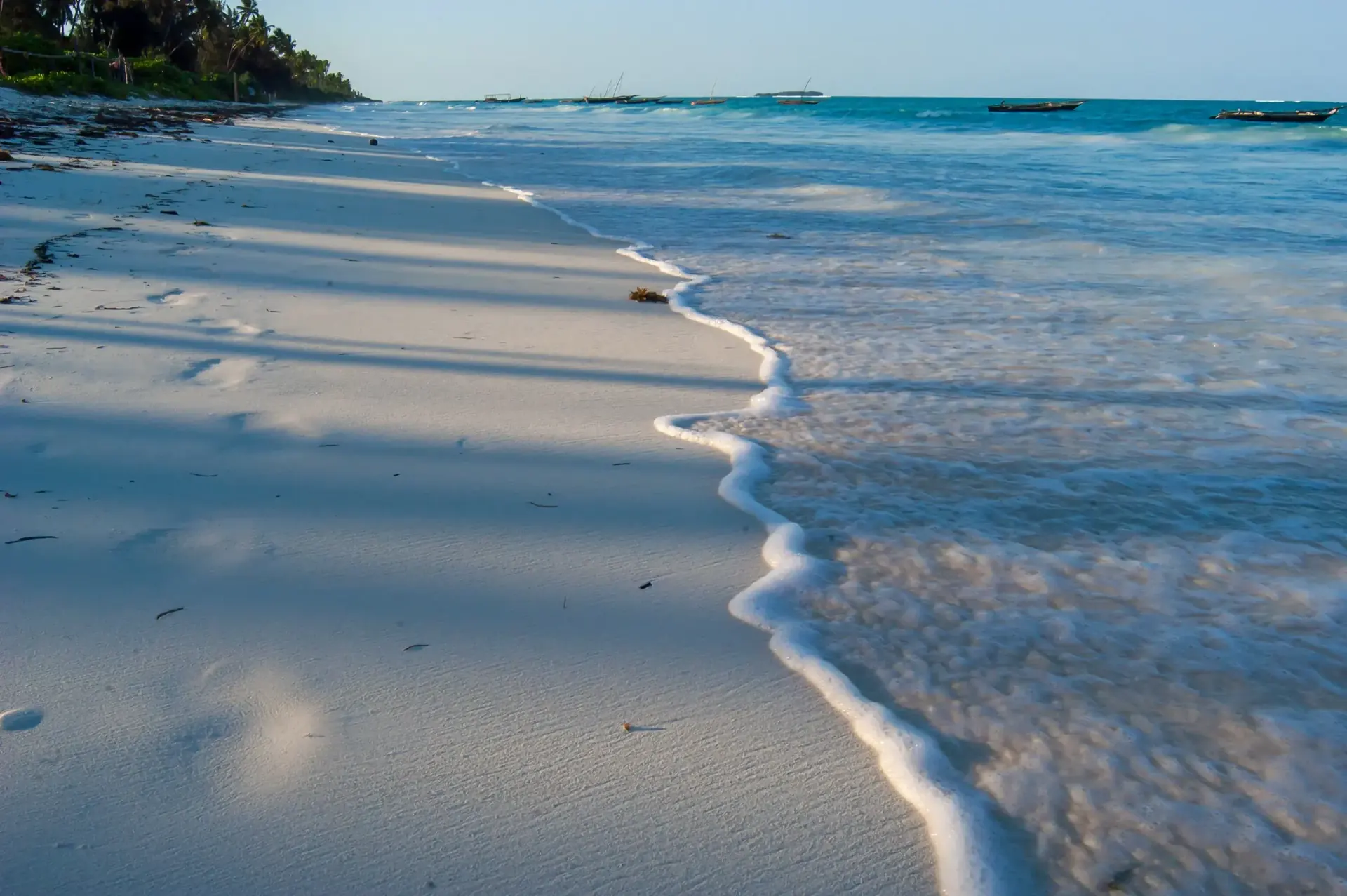Nakupenda Island and Prison Island Tour scenery