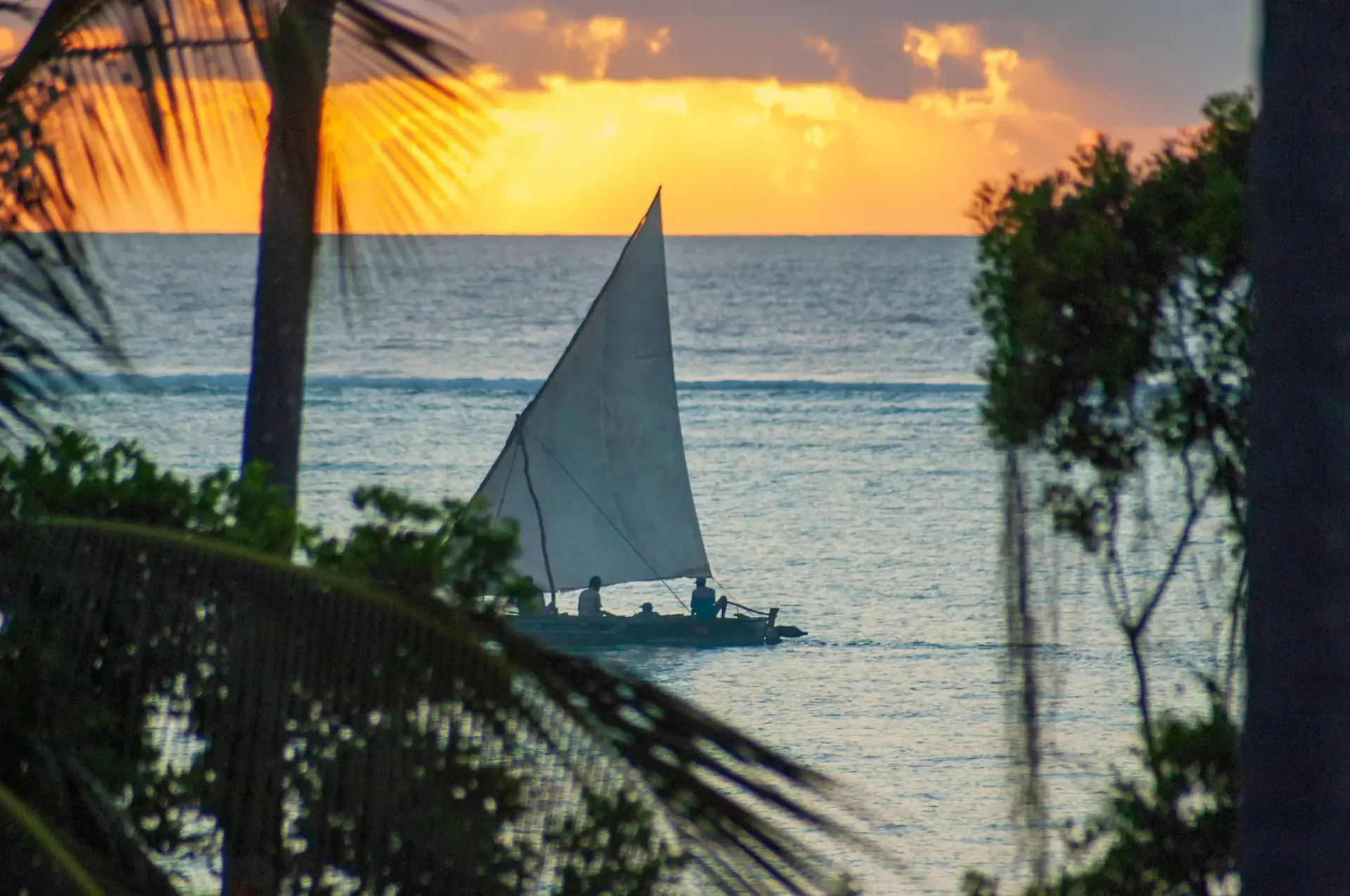 Day 11: Nakupenda Island and Prison Island Tour