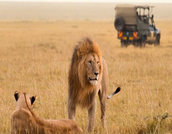 4 Days Best of Kenya Safari