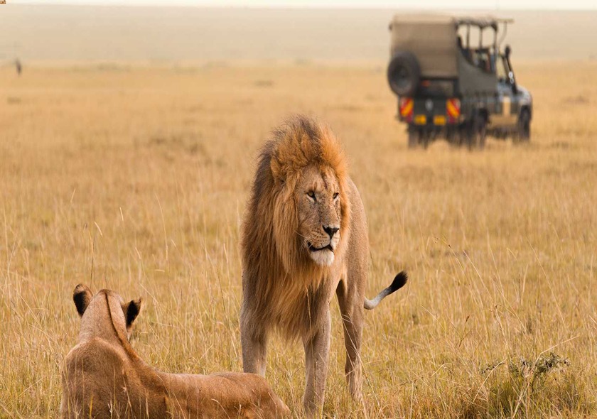 4 Days Best of Kenya Safari