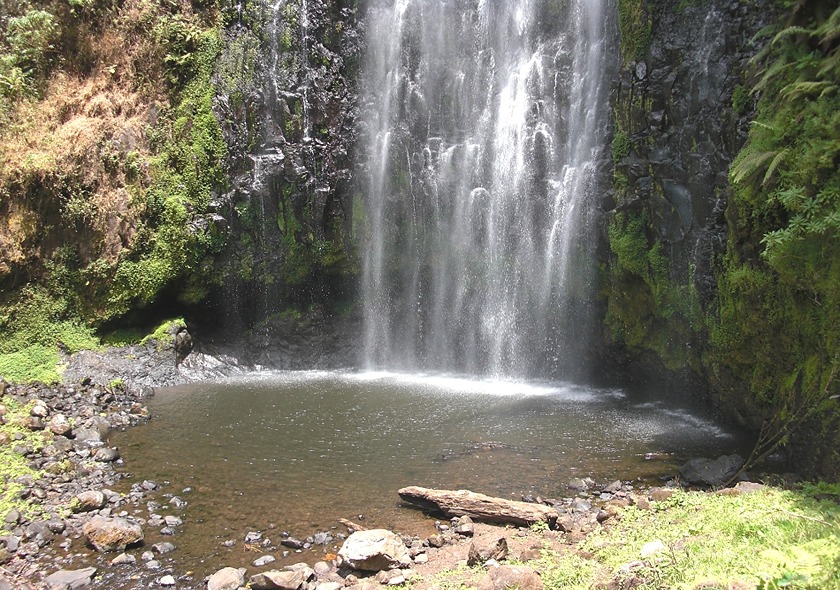 Day Trip to Materuni Waterfalls & Coffee Tour