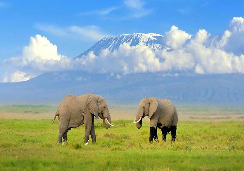 6 Days Wildlife Kenya Safari