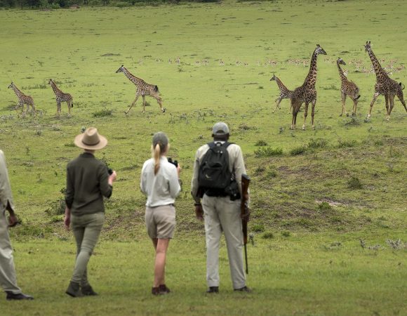 What to Expect on a Tanzania Walking Safari