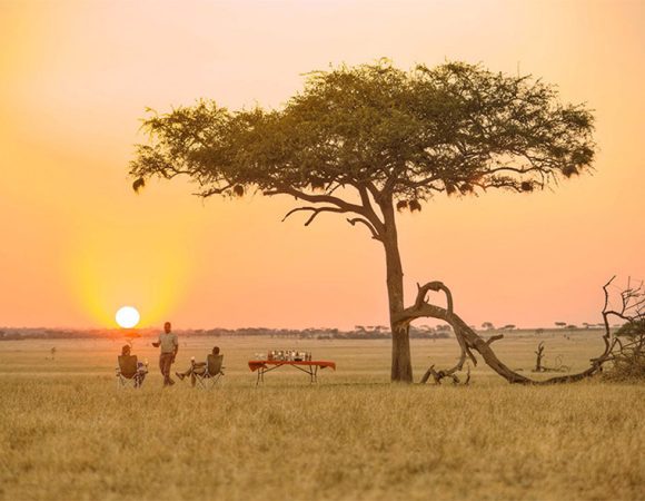 7 Days Safari in Tarangire, Serengeti, Ngorongoro and Lake Manyara NP
